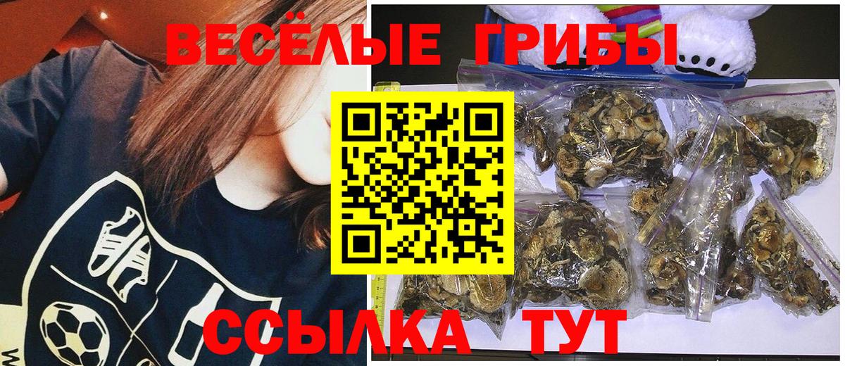 Псилоцибиновые грибы Psilocybine cubensis Сосновый Бор