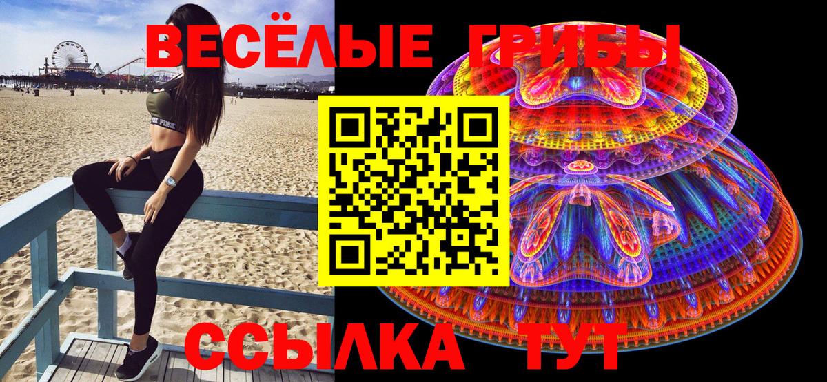 Псилоцибиновые грибы Magic Shrooms  Вход с VPN  Сосновый Бор  Псилоцибиновые грибы мицелий 